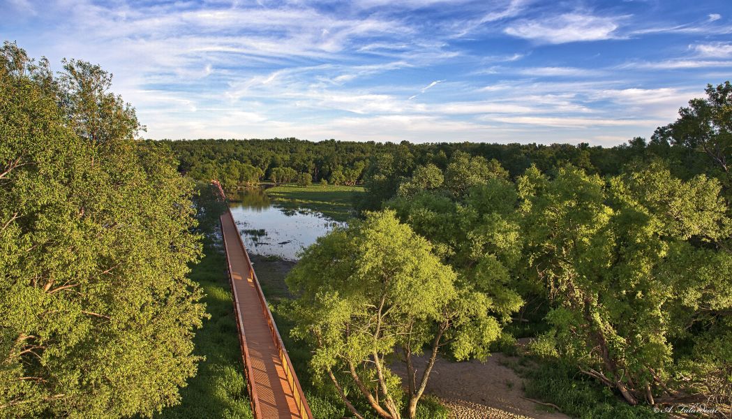 Parc l'AnseduPort • Au Québ
