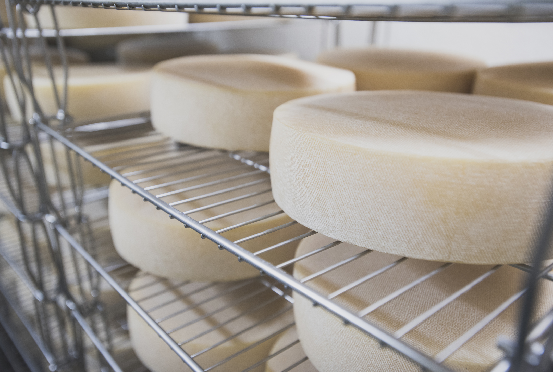 Fromagerie La Vache à Maillotte • Au Québ 