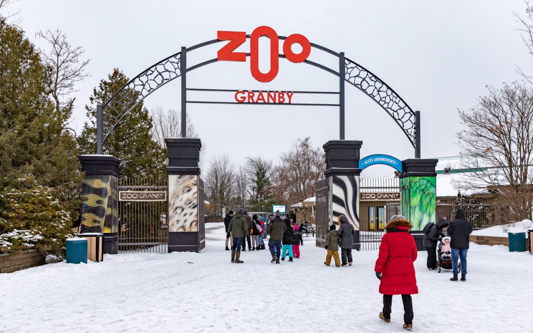 Zoo de Granby en hiver