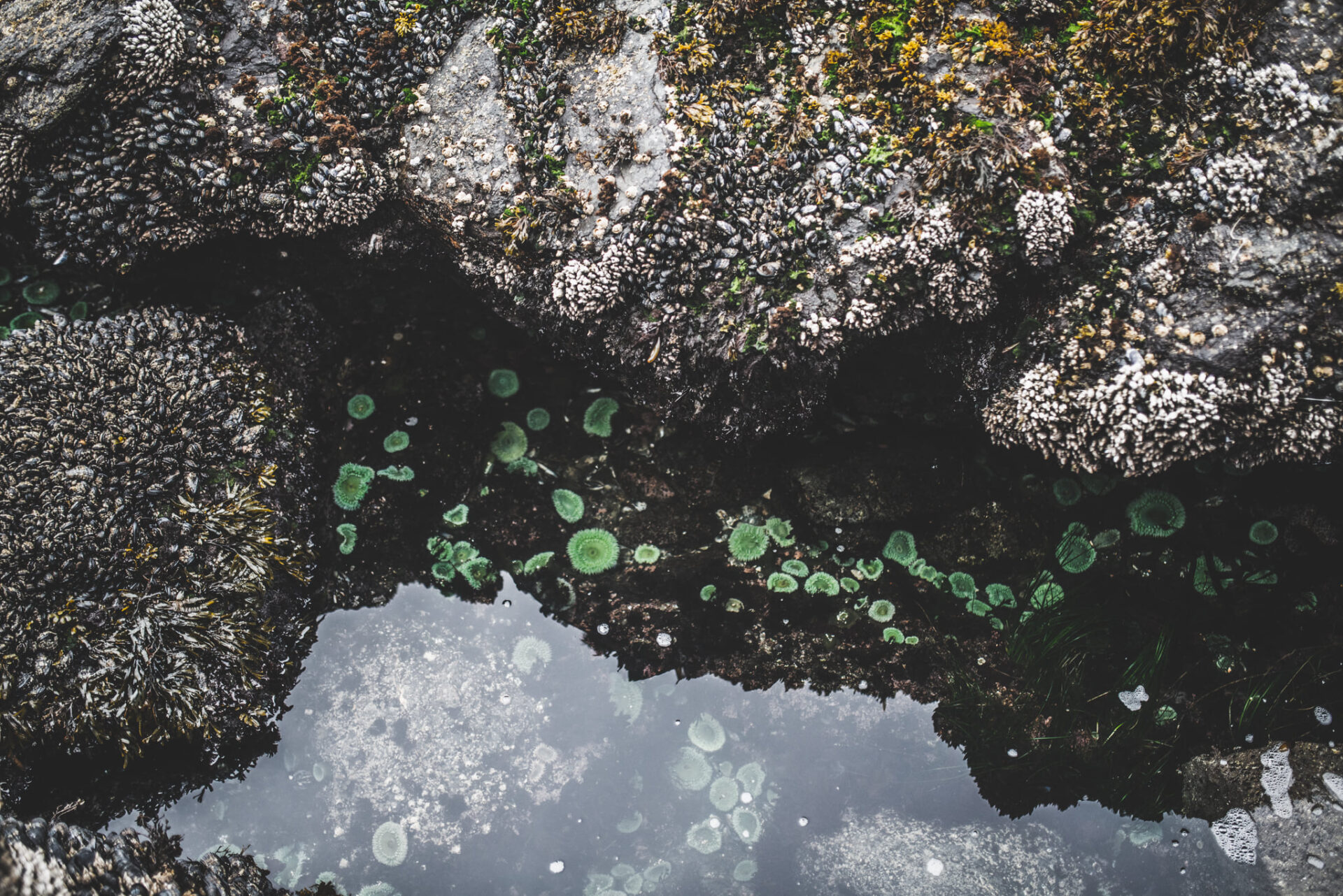 272813905_329757529157043_2768188608139616034_n (1)