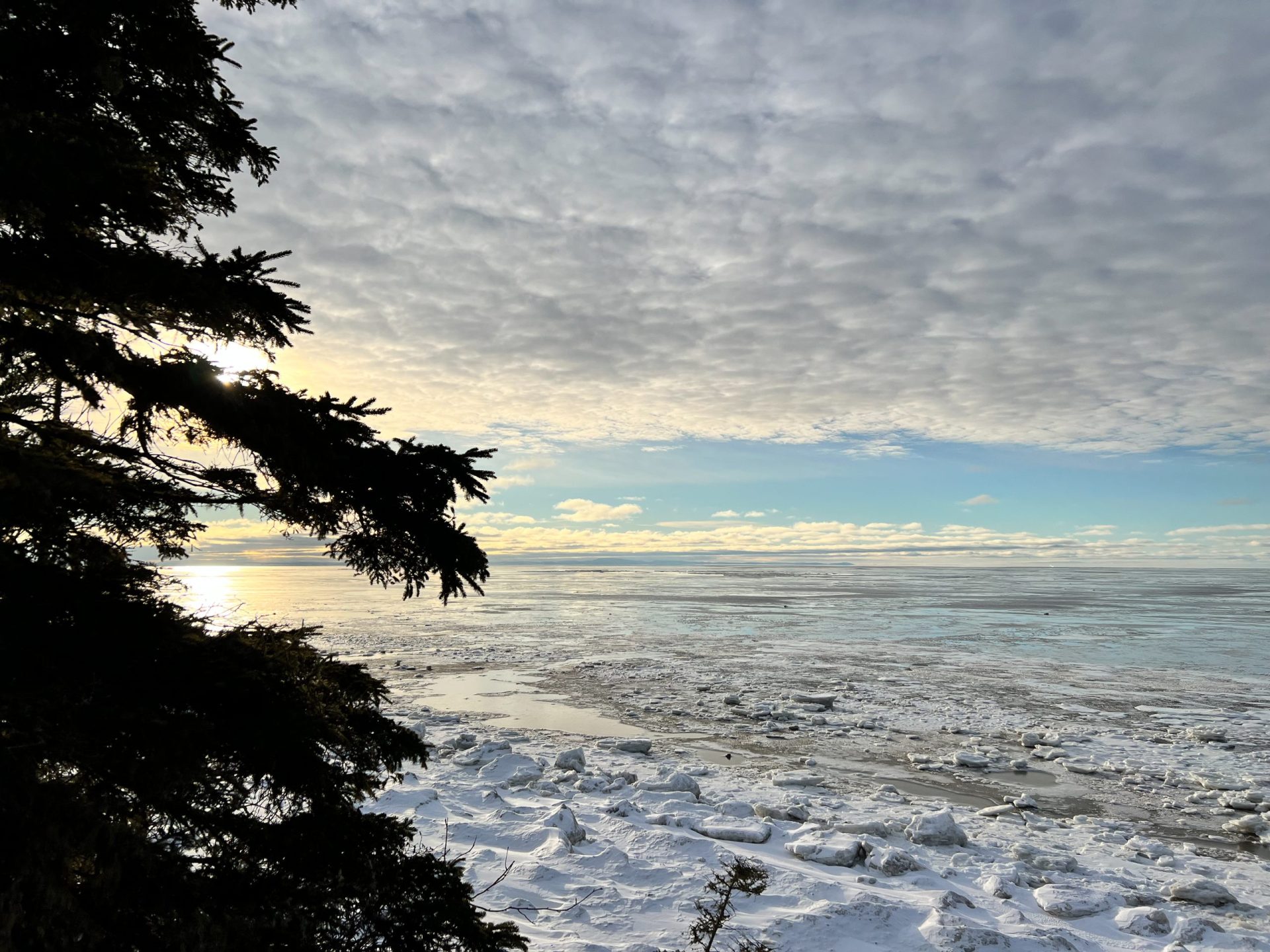 Le Parc Nature PointeauxOutardes en hiver • Au Québ