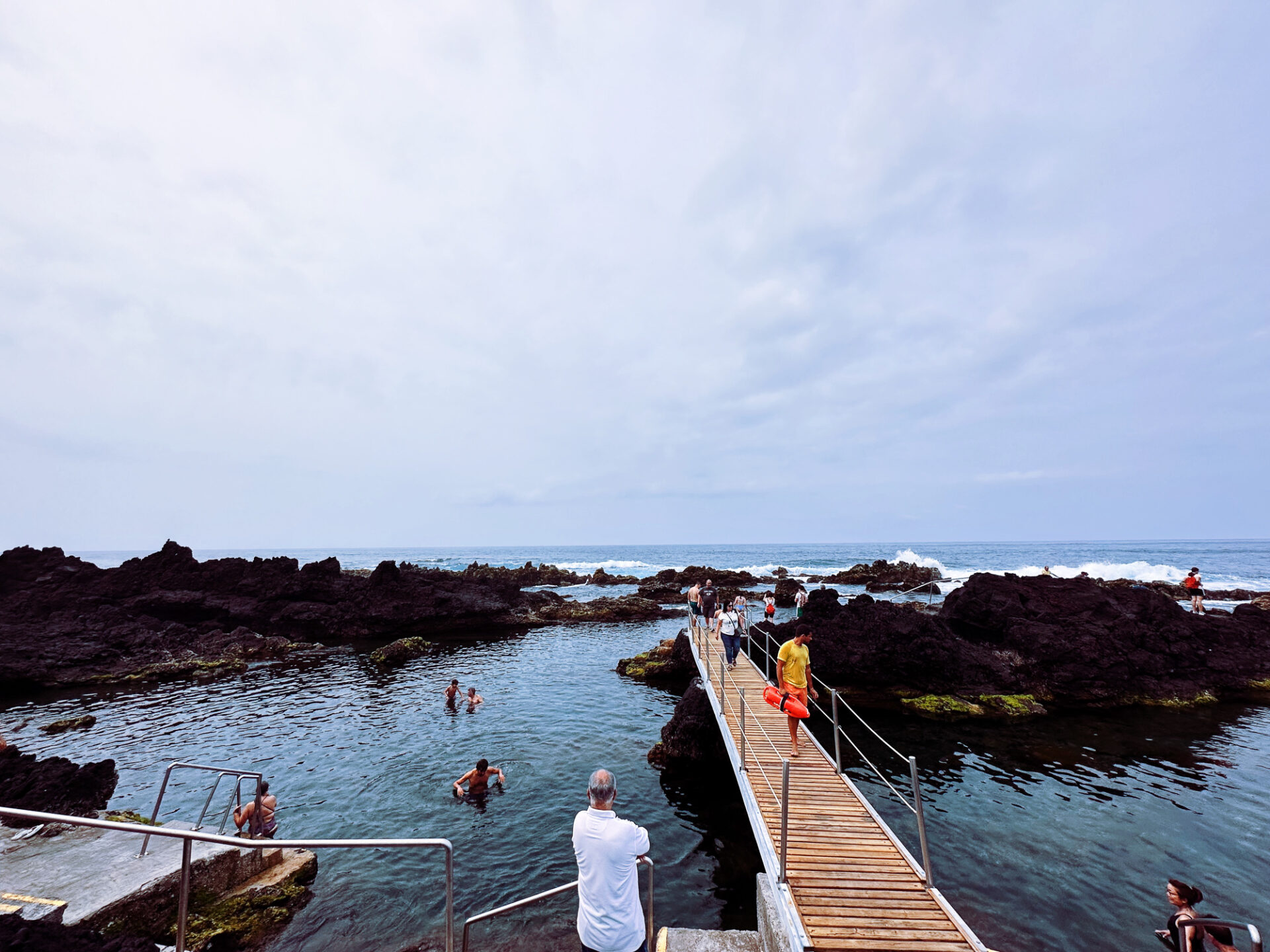 Observation des phoques