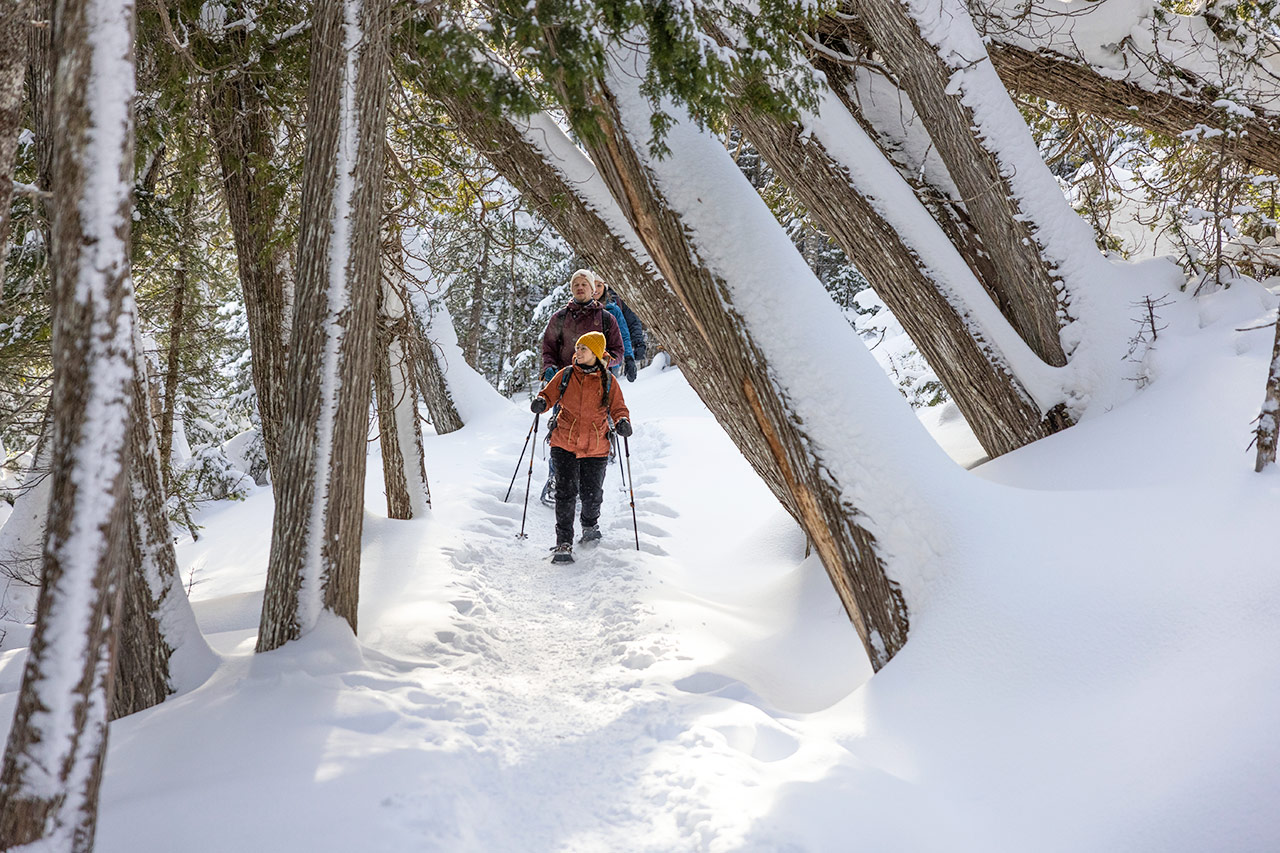 29 activités amusantes pour profiter de la neige – Active For Life