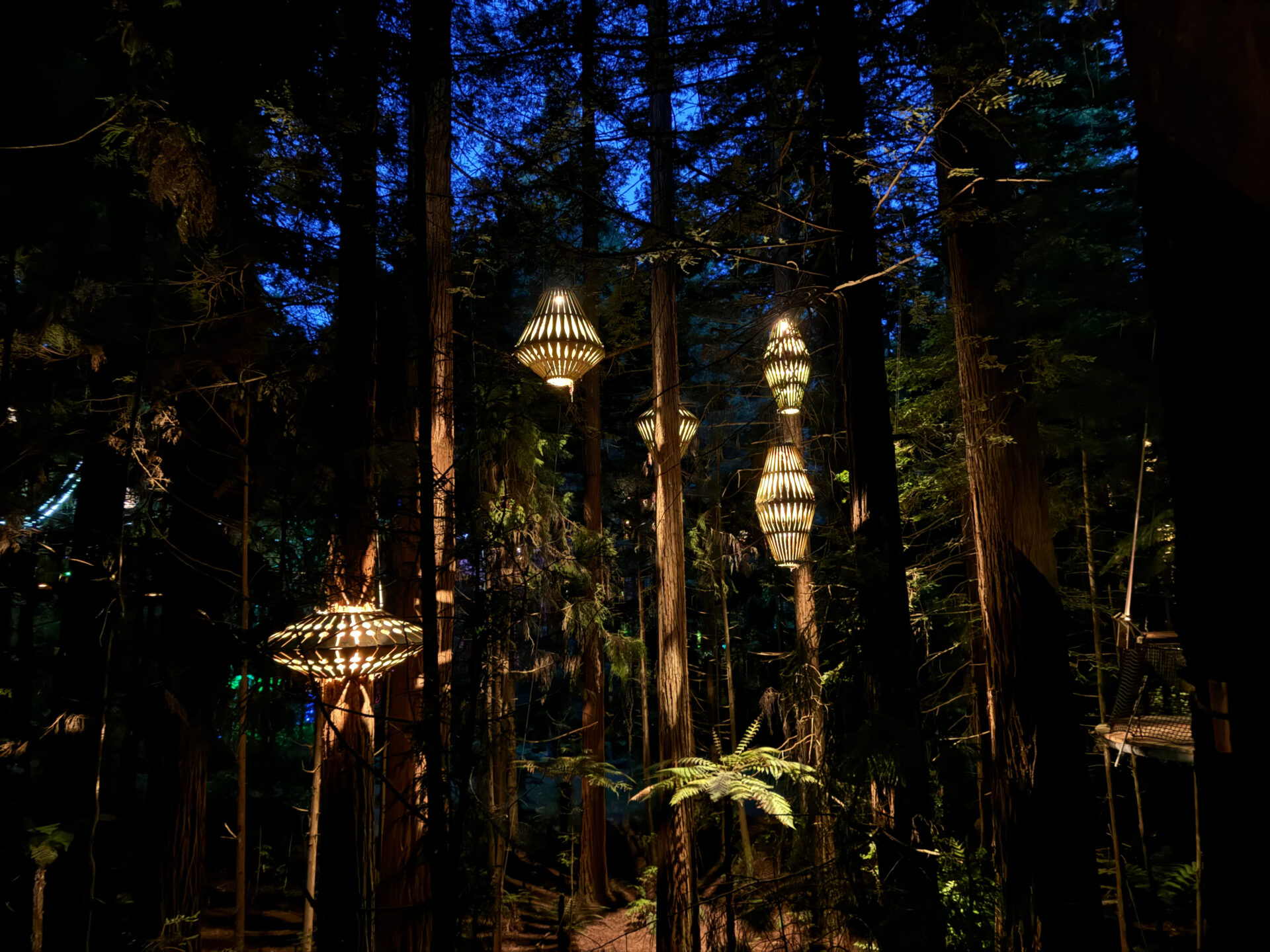 48c589a4-9317-459f-9236-971839b65093