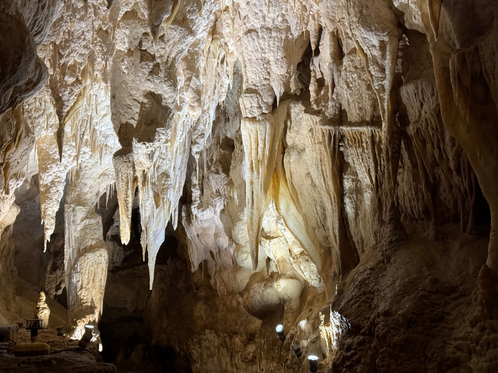 58c614e9-8e30-4b68-b458-146cd1329527