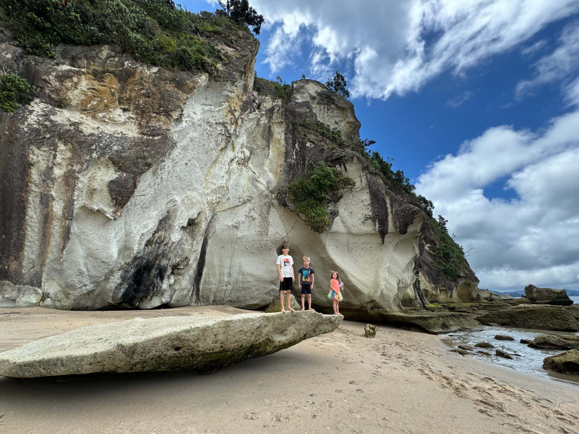 d50d2ef4-aa5d-49fd-a019-8467767d1bf9