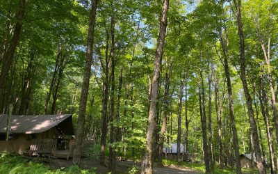 Huttopia Sutton : le glamping à son meilleur