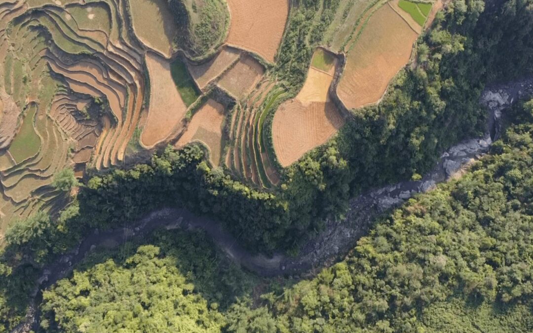 Le Vietnam aux multiples personnalités