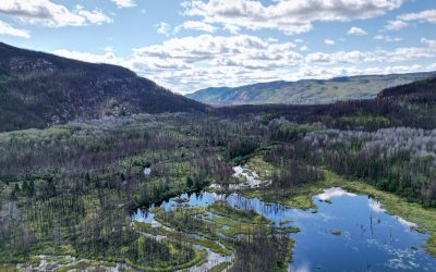 Côte-Nord : un séjour mémorable à la découverte de la culture autochtone