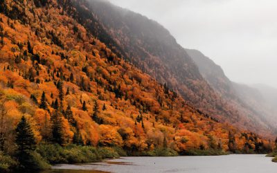 Randonnée dans La Jacques-Cartier