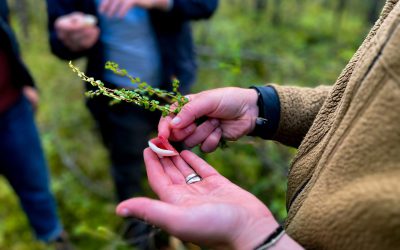 La mycologie au Kamouraska