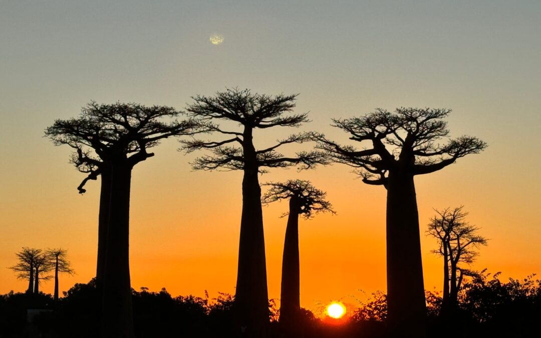 Madagascar, l’aventure et la découverte