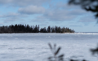Petit Métis – Café, buvette et chalets