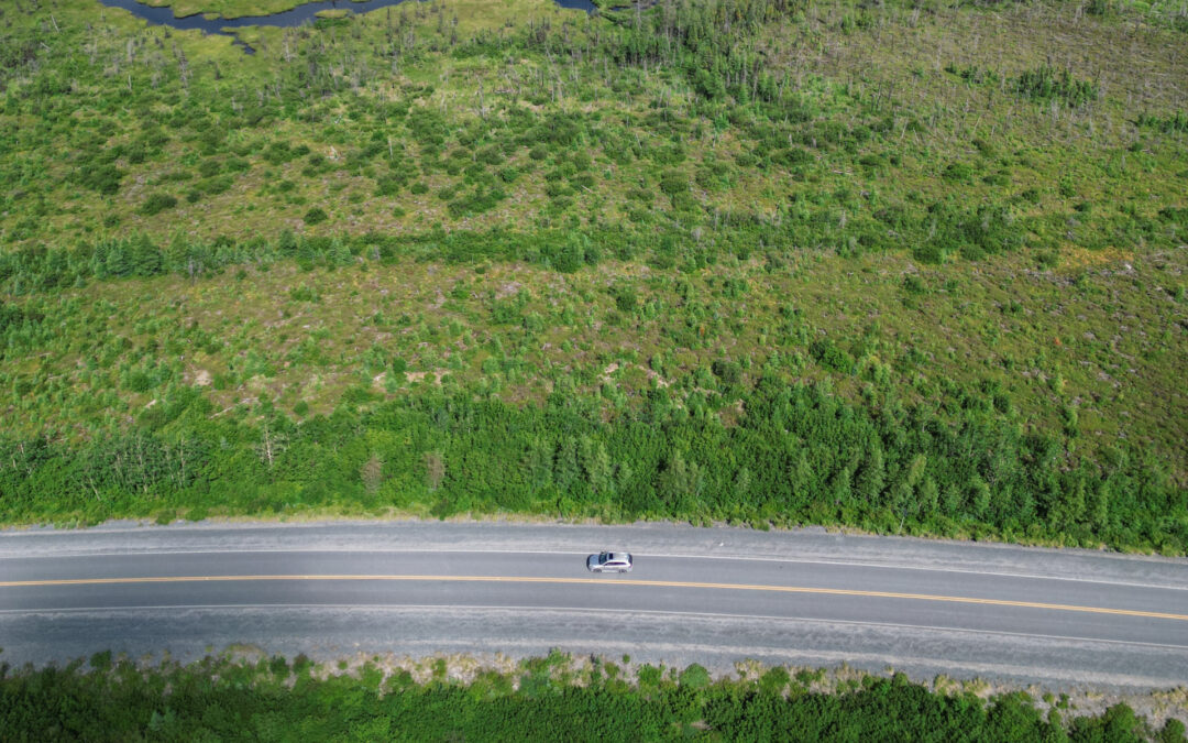 Pourquoi faire un roadtrip en Eeyou Istchee Baie-James?