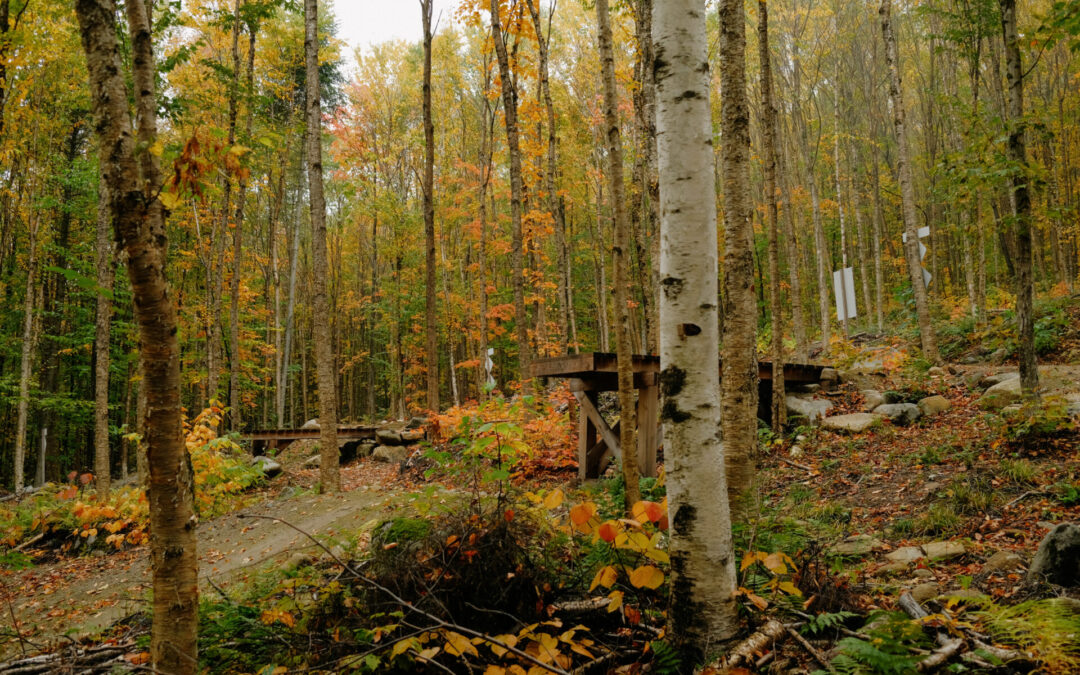 Mont Ste-Cécile : un trésor plein air quatre saisons sur la Route des Sommets