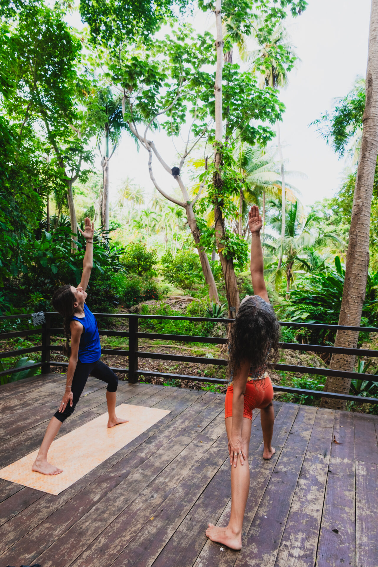 Séance de yoga dans un jardin tropical Séance de yoga dans un jardin tropical