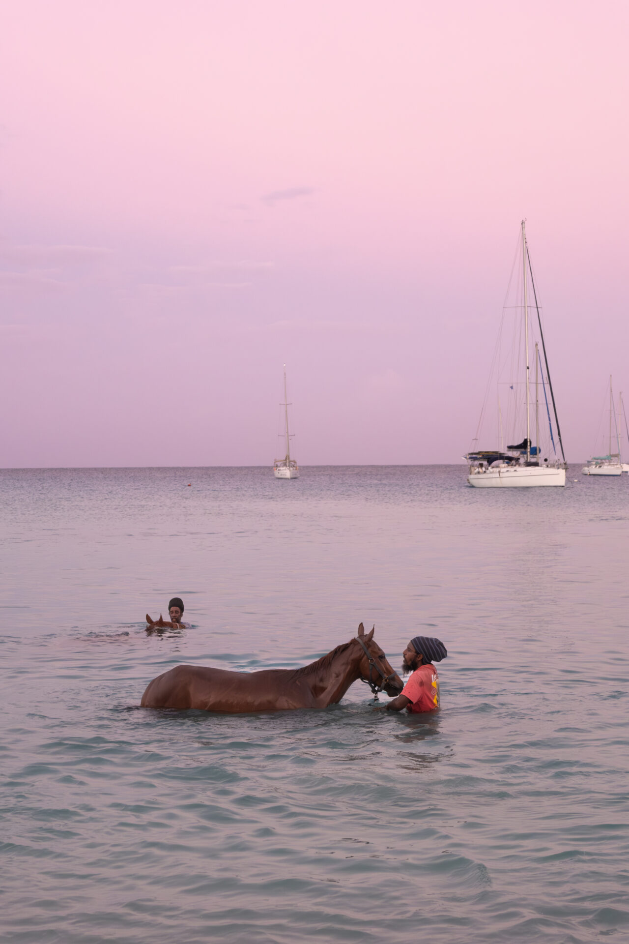 Chevaux dans la mer au lever du soleil à Pebbles Beach Chevaux dans la mer au lever du soleil à Pebbles Beach