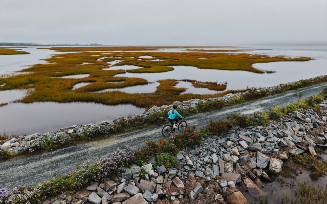Halifax autrement : surf, vélo et bonnes adresses entre ville et océan